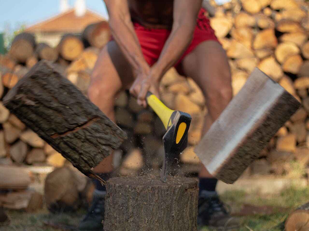 Residential Tree Removal in Tarpon Springs, FL